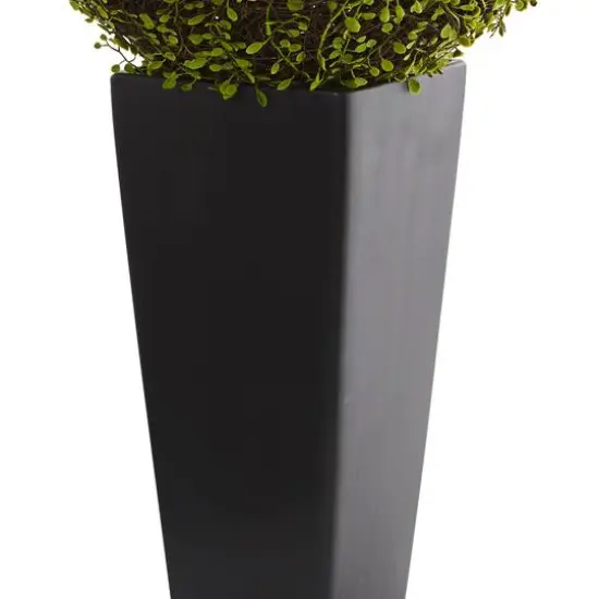 2.5ft. Mohlenbechia Ball in Black Tower Vase {4}