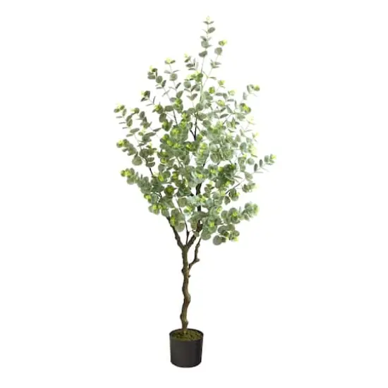 4.5ft. Potted Eucalyptus Tree {1}