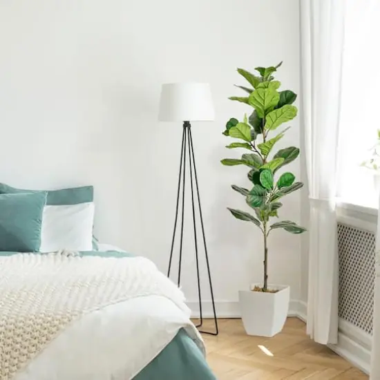 American Art Decor 5ft. Fiddle Fig Tree in White Ceramic Pot {3}