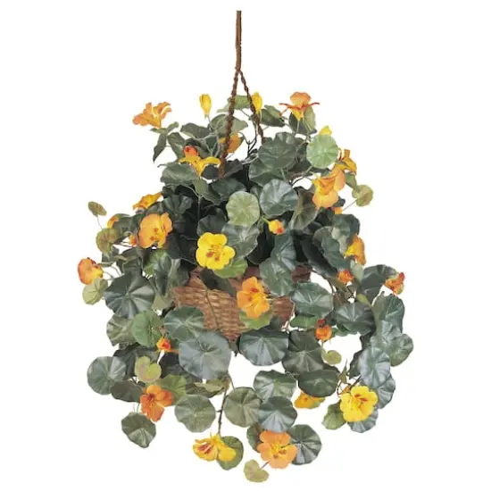 22" Golden Nasturtium Hanging Basket {1}