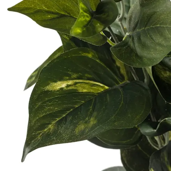 Pothos Bush Real Touch&trade; Collection by Ashland {4}