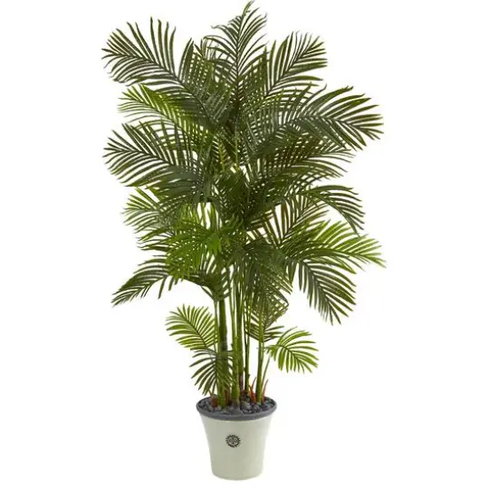 6ft. Areca Palm Tree in White Planter {1}