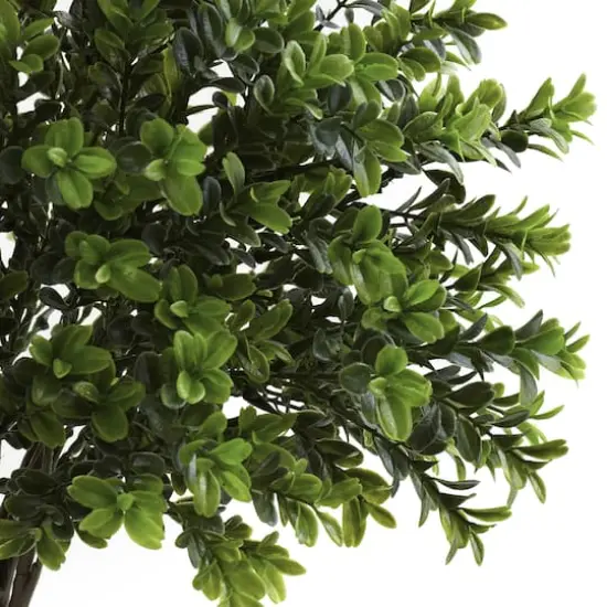 23" Sweet Grass Bush, 2ct. {4}