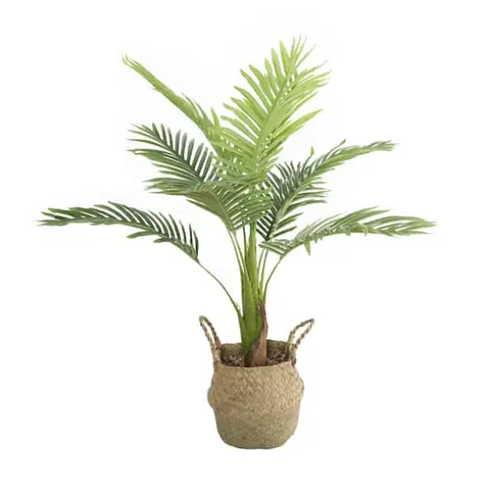 Flora Bunda&reg; 3ft. Big Palm in Basket Planter {1}