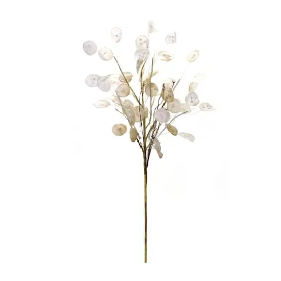 Silver Dollar Spray, 6ct. {3}