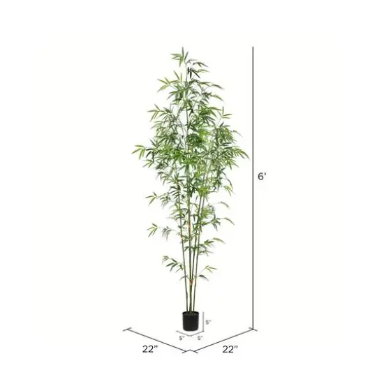 6ft. Potted Mini Bamboo Tree {4}