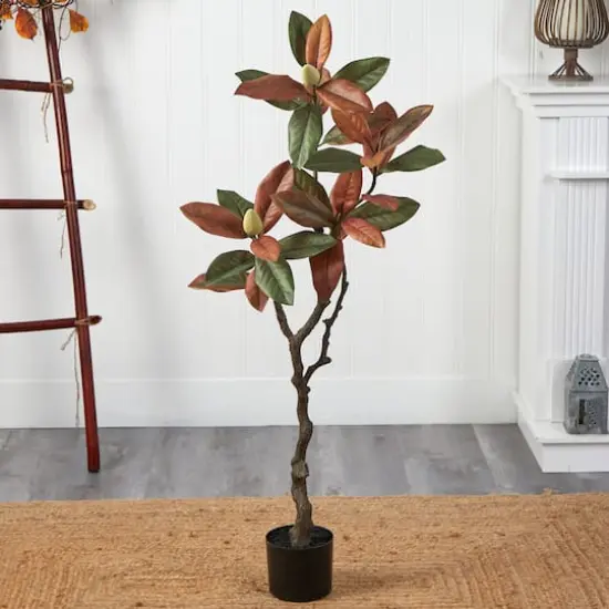 4ft. Potted Fall Magnolia Tree {4}