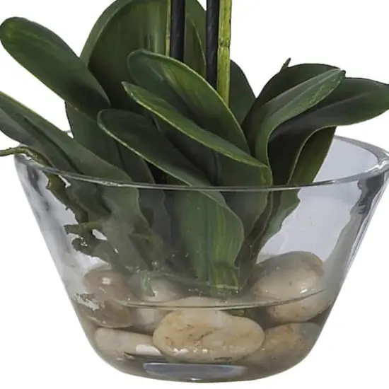 18" White Orchid Arrangement in Glass Vase {4}