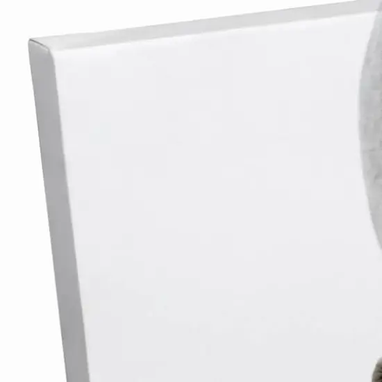 Grazing White Horse 16" x 20" Canvas Wall Art {4}