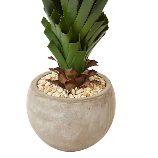 4.5ft. Spiked Agave in Sand Colored Bowl {4}