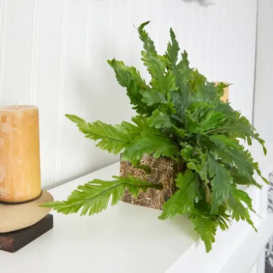 26" Green Fern Artificial Ledge Plant {8}