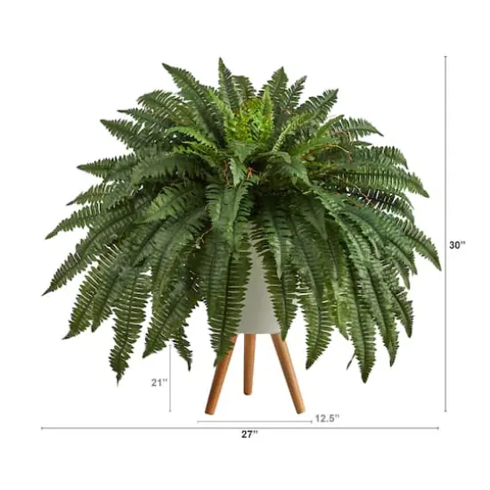 2.5ft. Boston Fern in White Planter with Legs {3}
