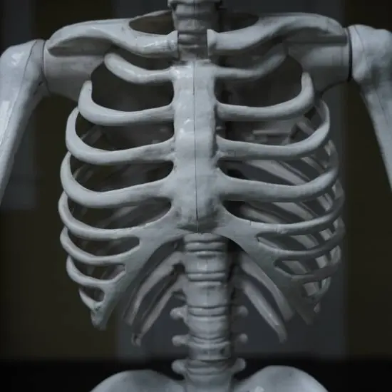 5ft. Skeleton with Red Light-Up Eyes by Ashland&reg; {7}