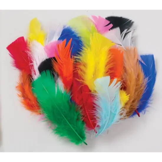 Creativity Street® Bright Turkey Plumage Feathers, 6 Packs of 1oz. {3}