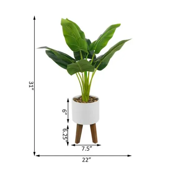 Flora Bunda&reg; 2.5ft. Traveler's Palm in Roman Ceramic Pot on Stand {3}