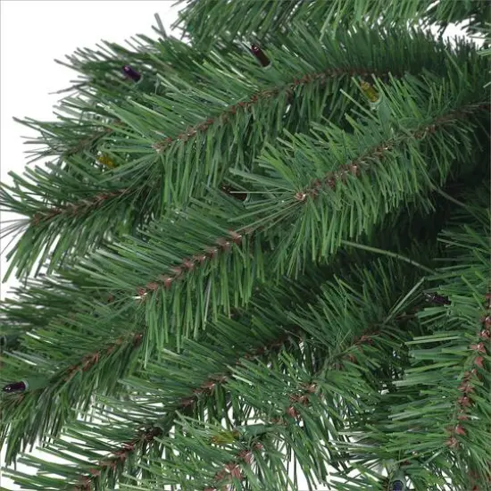 6ft. Pre-Lit Palm Artificial Christmas Tree, Dual Color LED Lights {5}