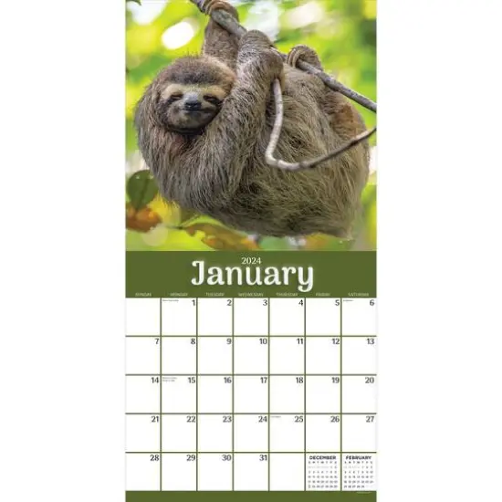 TF Publishing 2024 Sloths Wall Calendar {4}