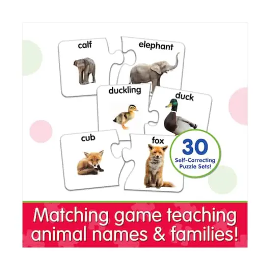 Match It! - Animal Families {5}