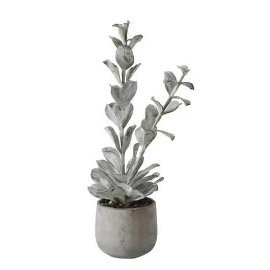 Hello Honey&reg; 24" Succulent in Cement Pot {1}