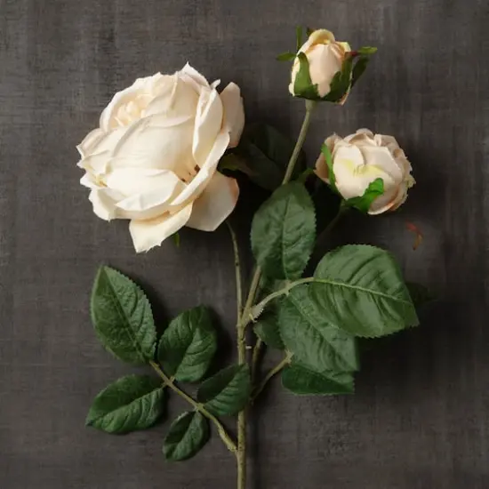 Toast English Rose Stem by Ashland&reg; {3}