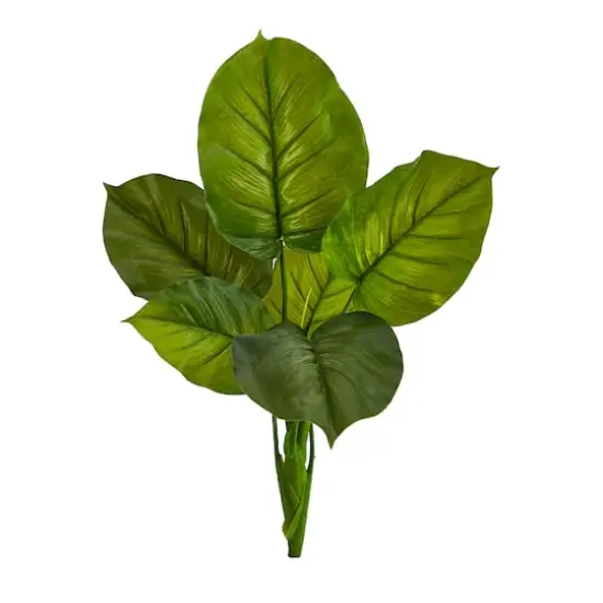 27'' Philodendron Leaf Bush, 4ct. {1}