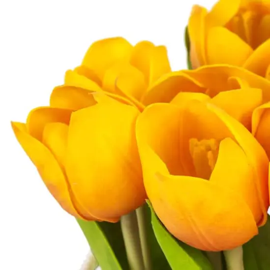 10" Tulip Bouquet in White Basket Orange {5}