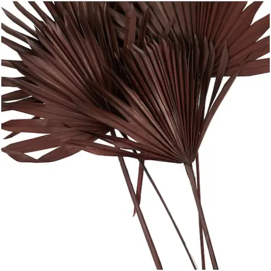 Dark Brown Sun Palm Spear Leaf Foliage Bundle {5}