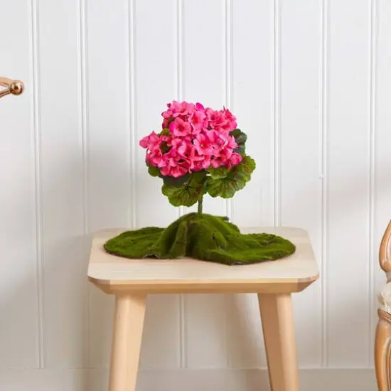 Pink Geranium Bush, 4ct.  {6}