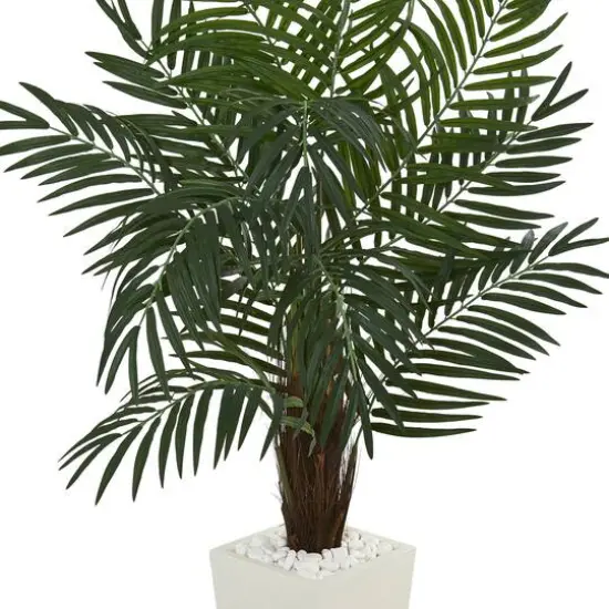 5.5ft. Areca Palm Tree in White Tower Planter {4}