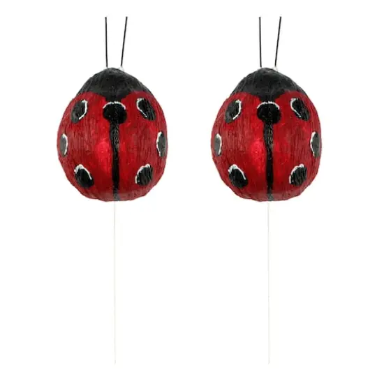 Ladybugs, 2ct. by Ashland&reg; {1}