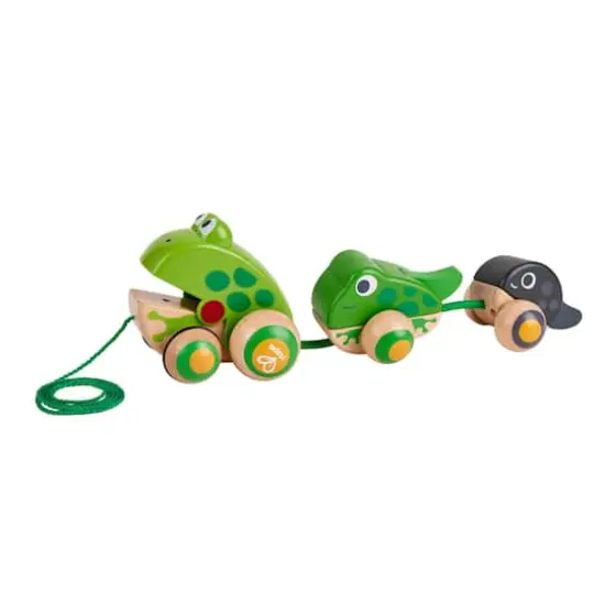 Hape Pull-Along Frog Family Wooden Toddler Toy {1}
