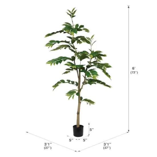 6ft. Potted Green Nandina Tree {5}