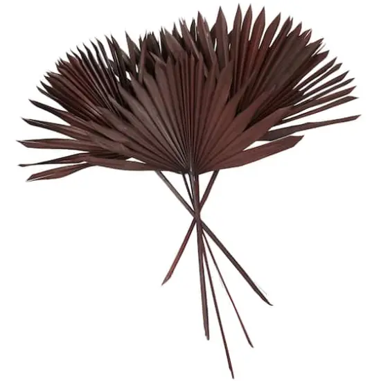 Dark Brown Sun Palm Spear Leaf Foliage Bundle {1}