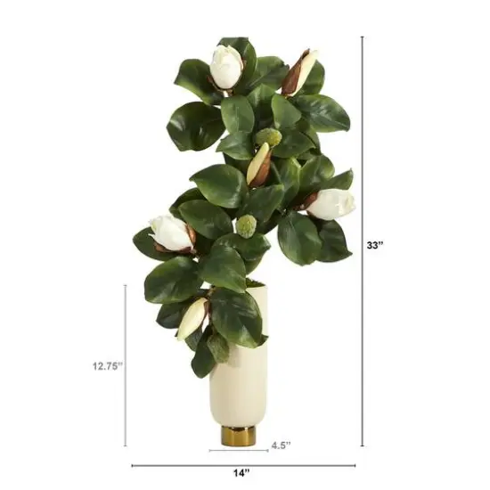 3ft. Magnolia Plant in Cream Planter with Gold Base {3}