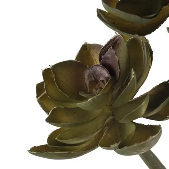 Ashland&reg; Succulent Pick {4}