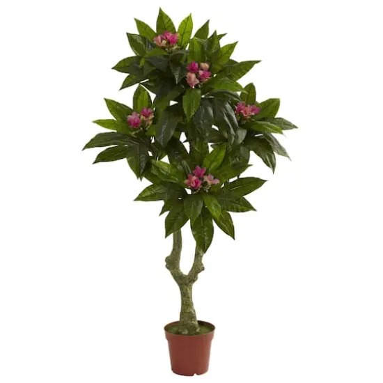 5ft. Potted Plumeria Tree {1}