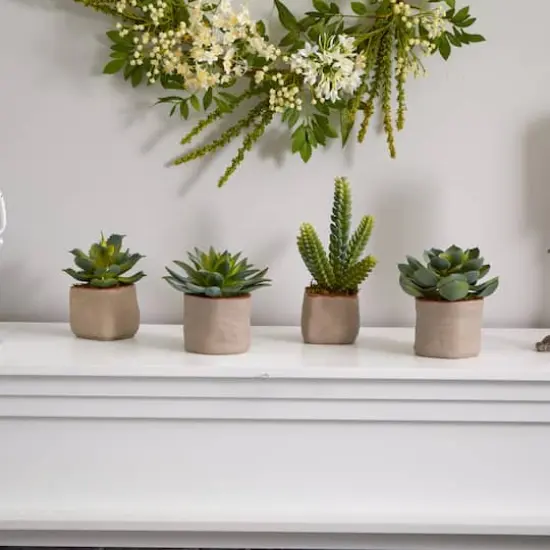 6" Potted Mixed Succulent Plants, 4ct. {7}