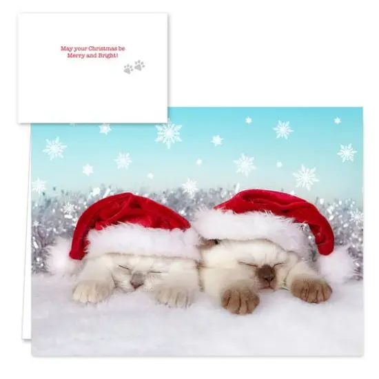 Hortense B. Hewitt Co. Christmas Cats Holiday Cards {7}