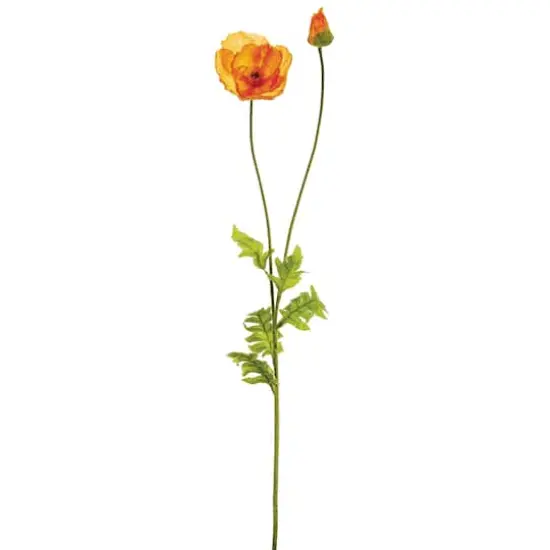 Orange Poppy Spray {1}