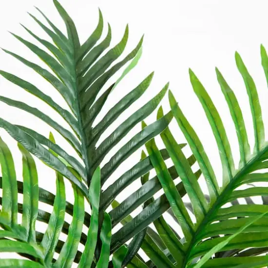 4ft. UV Resistant Artificial Double Robellini Palm Tree (Indoor/Outdoor) {4}