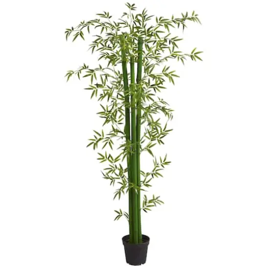 8ft. Potted Bamboo Tree {1}