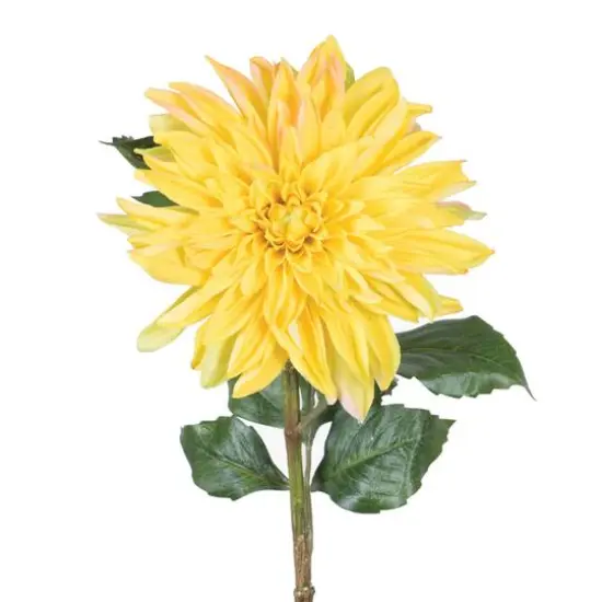 Yellow Dahlia Stem {1}