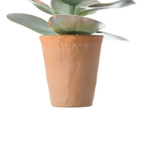 Hello Honey&reg; 18" Faux Succulent in Terra Cotta Colored Pot {9}