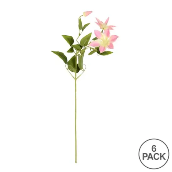 Pink Clematis Stem, 6ct. {4}