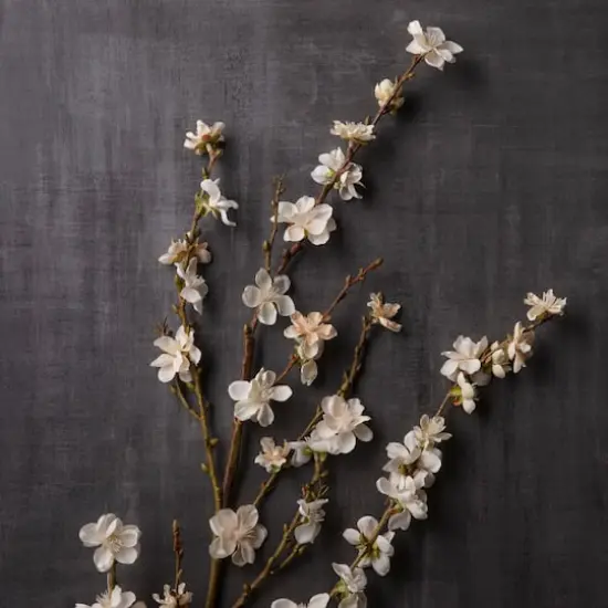 Peach Blossom Stem by Ashland&reg; Cream {3}