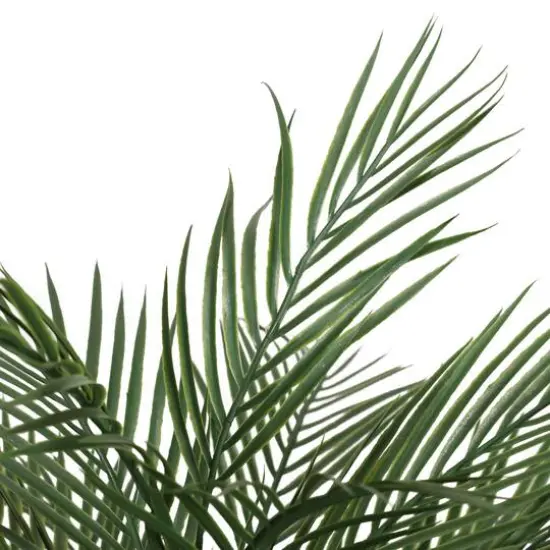 2.6ft. Potted Areca Palm Tree {3}