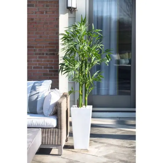 5ft. UV Resistant Bamboo Tree in White Planter {7}