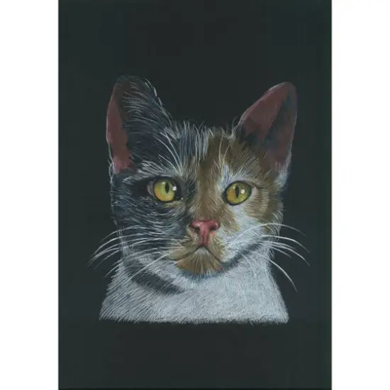 Cretacolor&reg; The Aquarino Box Watercolor Drawing 24-Piece Set {9}