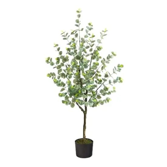 4ft. Potted Eucalyptus Tree {1}