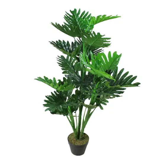 4.1ft. Potted Philodendron Hope Plant {1}